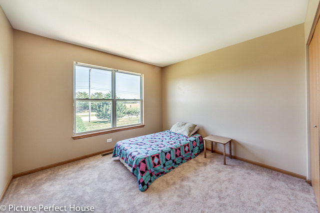 11651 S Derby Ln, Plainfield, IL 60585 photo 15