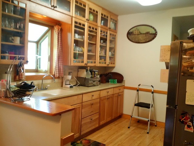 1604 E Forest Ave, Des Plaines, IL 60018 photo 10
