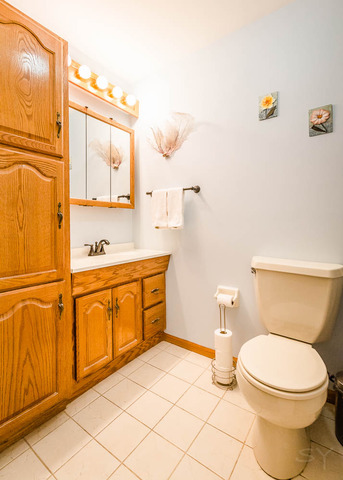 89 Pleasant St, Hoffman Estates, IL 60169 photo 11