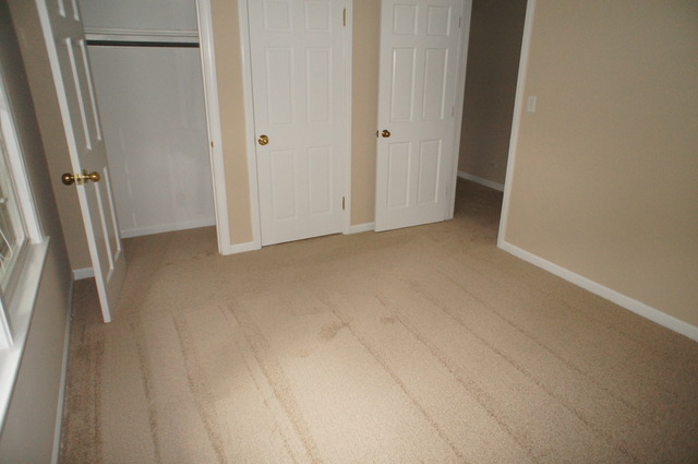 906 North Path, Wheaton, IL 60187 photo 11