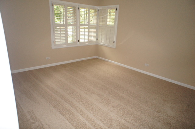 906 North Path, Wheaton, IL 60187 photo 13
