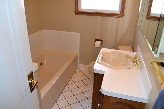 18333 School St, Lansing, IL 60438 photo 15