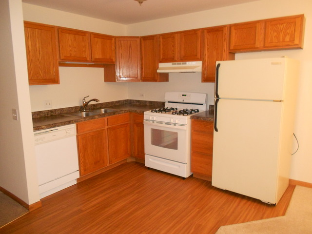 1945 Matthew Ct #C, Elgin, IL 60123 photo 4