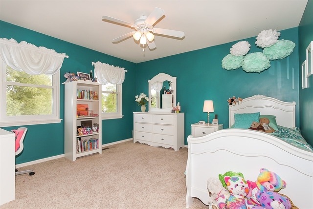 2019 Clematis Dr, Algonquin, IL 60102 photo 19