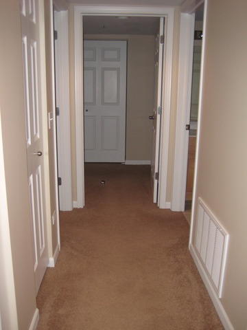 8010 Riverwalk Dr #3D, Lyons, IL 60534 photo 5