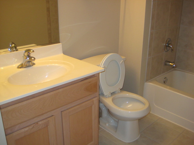 8010 Riverwalk Dr #3D, Lyons, IL 60534 photo 8