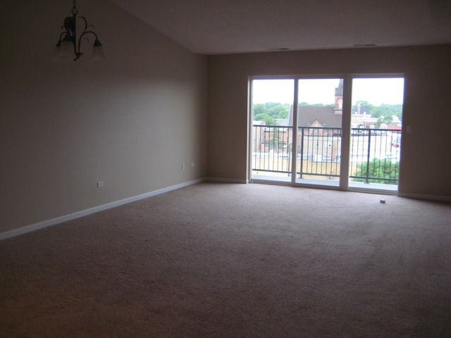 8010 Riverwalk Dr #3D, Lyons, IL 60534 photo 3