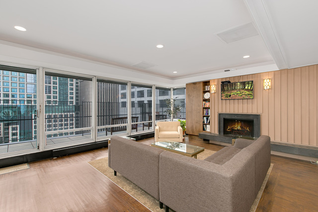 201 E Chestnut St #3D, Chicago, IL 60611 photo 18