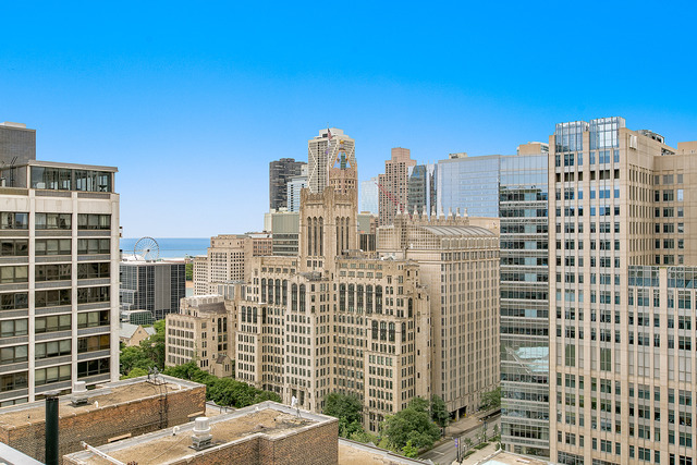 201 E Chestnut St #3D, Chicago, IL 60611 photo 17