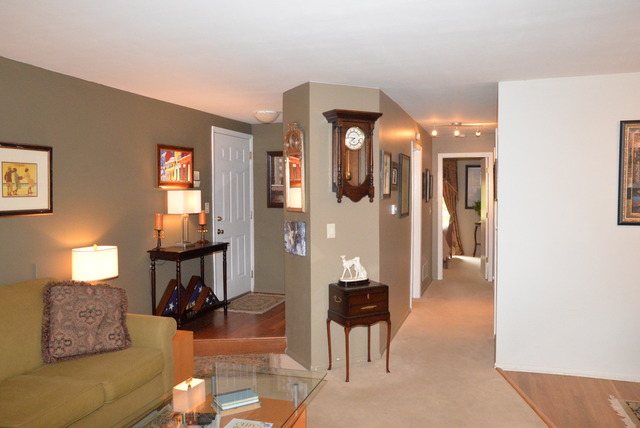 10 Creekside Cir #C, Elgin, IL 60123 photo 3