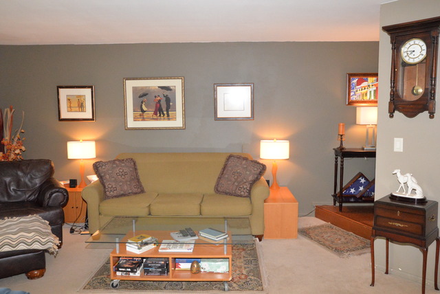 10 Creekside Cir #C, Elgin, IL 60123 photo 2
