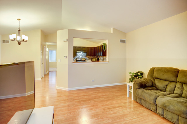741 Serendipity Dr, Aurora, IL 60504 photo 4