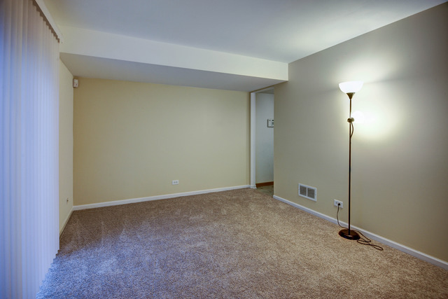741 Serendipity Dr, Aurora, IL 60504 photo 15