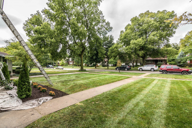 739 William St, River Forest, IL 60305 photo 20