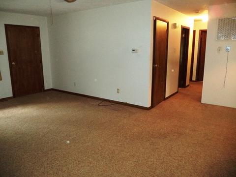 204 W Taylor St, Dwight, IL 60420 photo 4