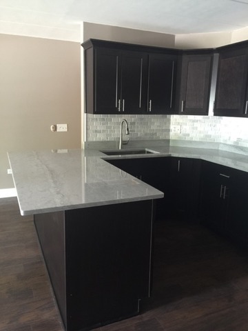 3730 W 111th St #102, Chicago, IL 60655 photo 4