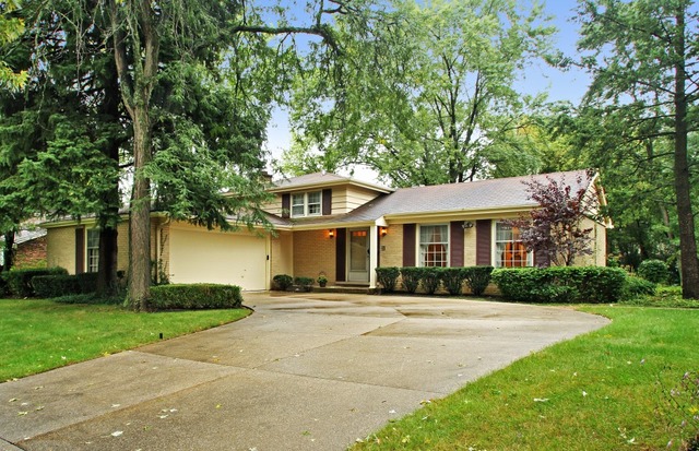 3709 Maple Leaf Dr, Glenview, IL 60026 photo 1