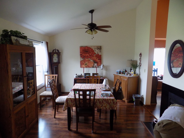 21072 W Hazelnut Ln, Plainfield, IL 60544 photo 4