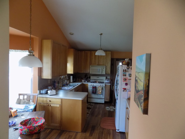 21072 W Hazelnut Ln, Plainfield, IL 60544 photo 5