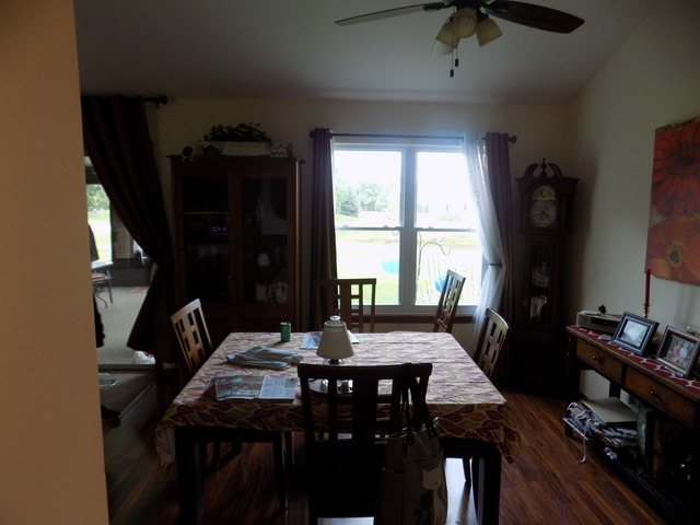 21072 W Hazelnut Ln, Plainfield, IL 60544 photo 7