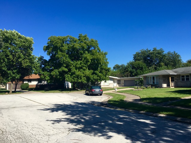 17537 Maple St, Lansing, IL 60438 photo 3