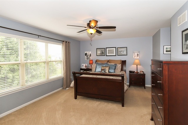 26655 Lindengate Cir, Plainfield, IL 60585 photo 12