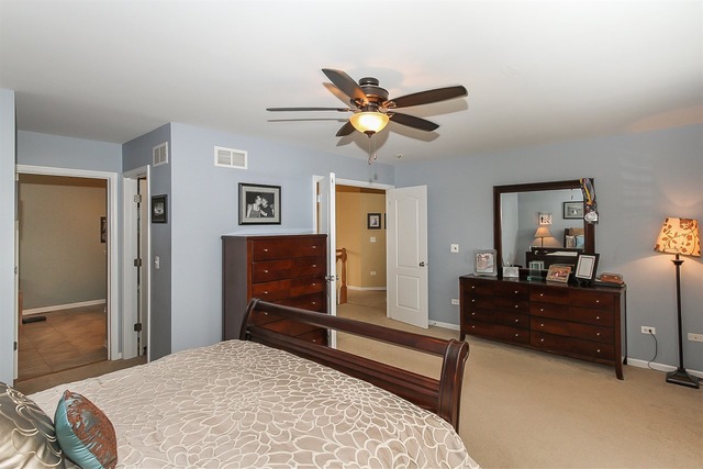 26655 Lindengate Cir, Plainfield, IL 60585 photo 13