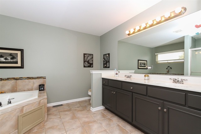 26655 Lindengate Cir, Plainfield, IL 60585 photo 14