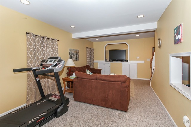 26655 Lindengate Cir, Plainfield, IL 60585 photo 20