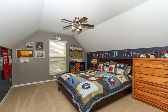 26655 Lindengate Cir, Plainfield, IL 60585 photo 18