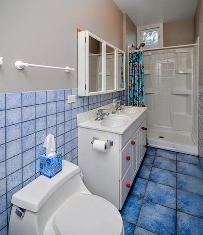 10030 S Longwood Dr, Chicago, IL 60643 photo 20