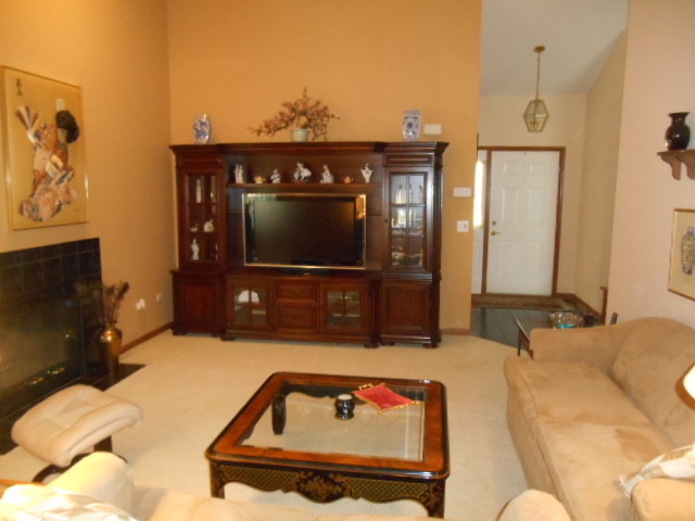13404 Redberry Cir, Plainfield, IL 60544 photo 6