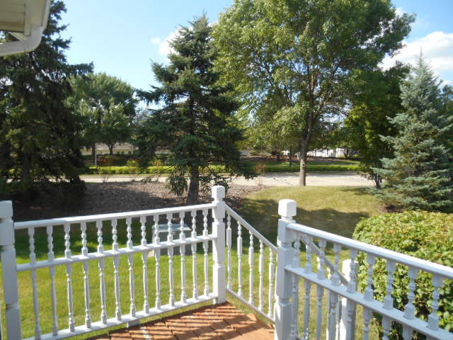 13404 Redberry Cir, Plainfield, IL 60544 photo 10