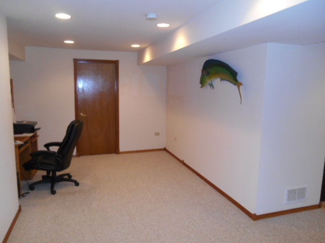 13404 Redberry Cir, Plainfield, IL 60544 photo 20
