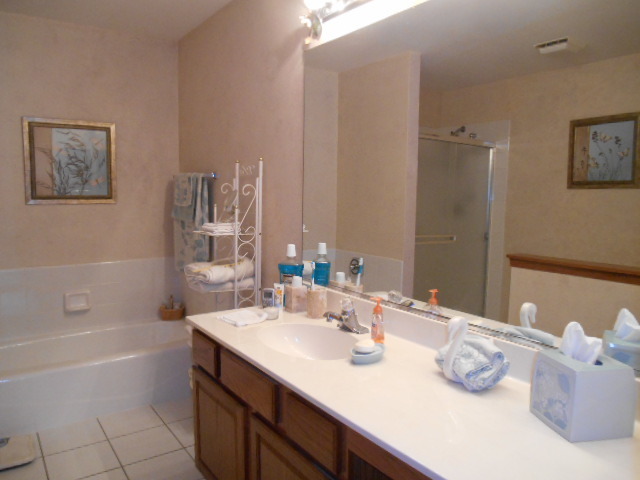 13404 Redberry Cir, Plainfield, IL 60544 photo 13
