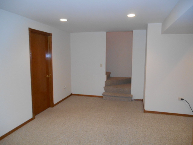 13404 Redberry Cir, Plainfield, IL 60544 photo 17