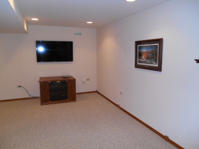 13404 Redberry Cir, Plainfield, IL 60544 photo 18