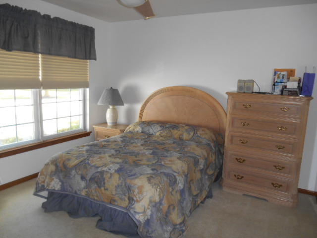13404 Redberry Cir, Plainfield, IL 60544 photo 15