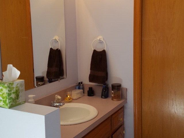 6606 Dejarld Dr, Plainfield, IL 60586 photo 10