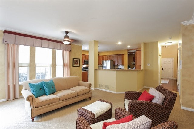 255 Garden Dr, Elgin, IL 60124 photo 13