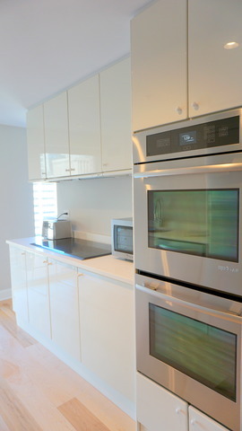 100 E Huron St #1605, Chicago, IL 60611 photo 9
