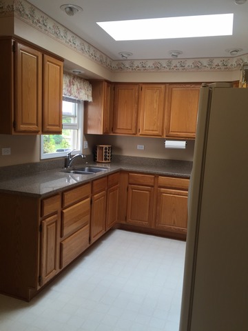 1387 Tyler Ln, Elgin, IL 60123 photo 10