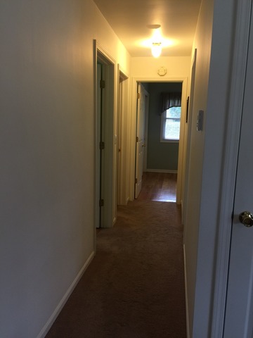 1387 Tyler Ln, Elgin, IL 60123 photo 6