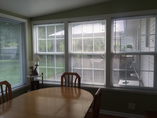 1387 Tyler Ln, Elgin, IL 60123 photo 18