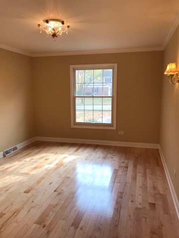 1007 Thunderbird Ln, Naperville, IL 60563 photo 11