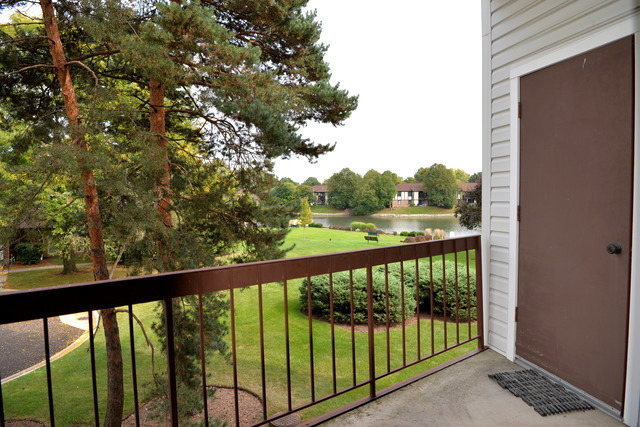1500 Harbour Dr #D2, Wheeling, IL 60090 photo 3