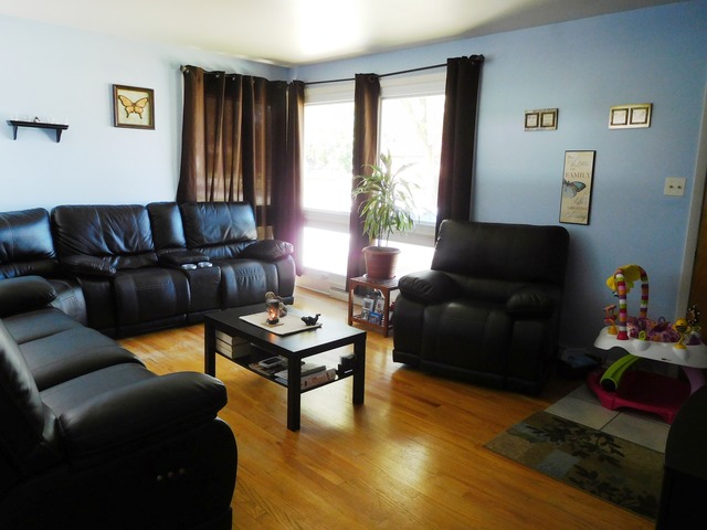 335 E Hilton Ave, Addison, IL 60101 photo 4