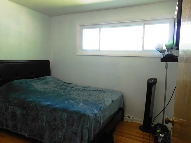 335 E Hilton Ave, Addison, IL 60101 photo 8