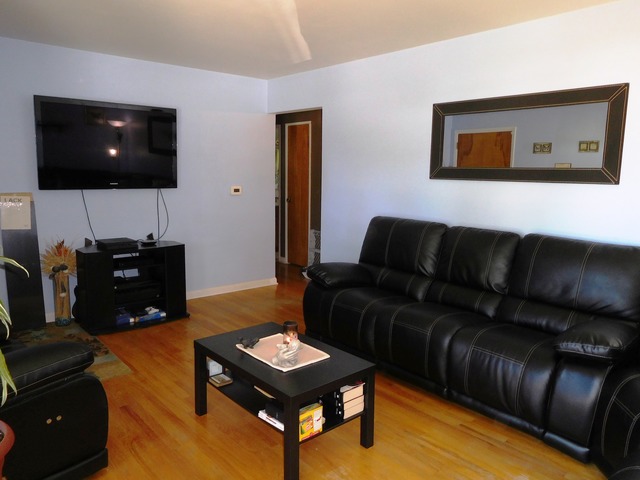 335 E Hilton Ave, Addison, IL 60101 photo 5