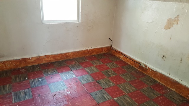 7017 S Lowe Ave, Chicago, IL 60621 photo 10